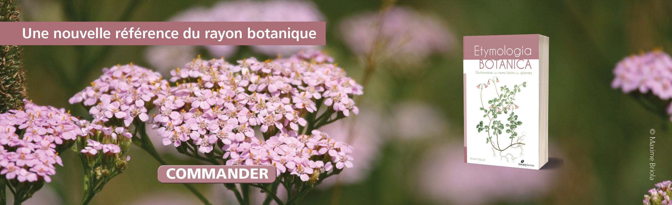 Etymologia Botanica - Dictionnaire des noms latins